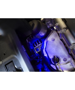 Alternative view of RLD4