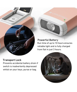 Alternative view of 502577