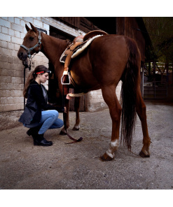 Alternative view of 500853