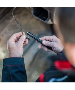 Alternative view of 502184