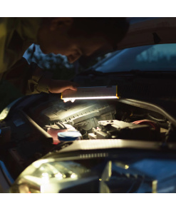 Alternative view of 502921