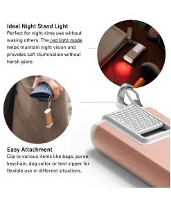 Alternative view of 502581